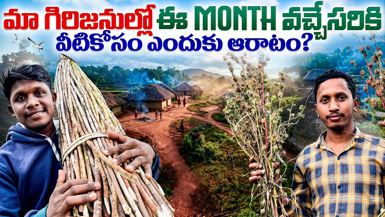 ఇవెంతో మీకు తెలుసా ? || Seethampeta Adivasi Lifestyle