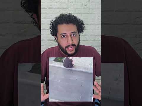 ده ايه ده | صلاح الدالي