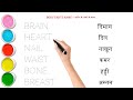 शरीर के अंग || Body parts name || Human body parts name in english and hindi