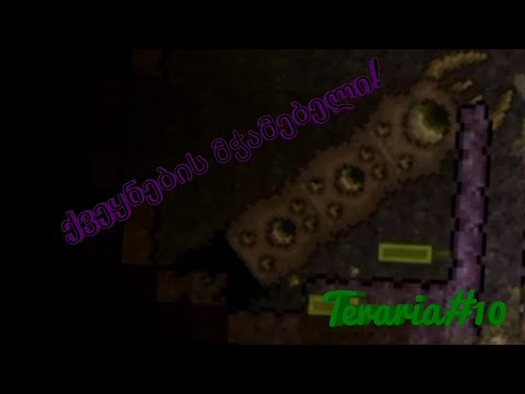ქვეყნების მჭამებელი ტერარიაში! Teraria#10