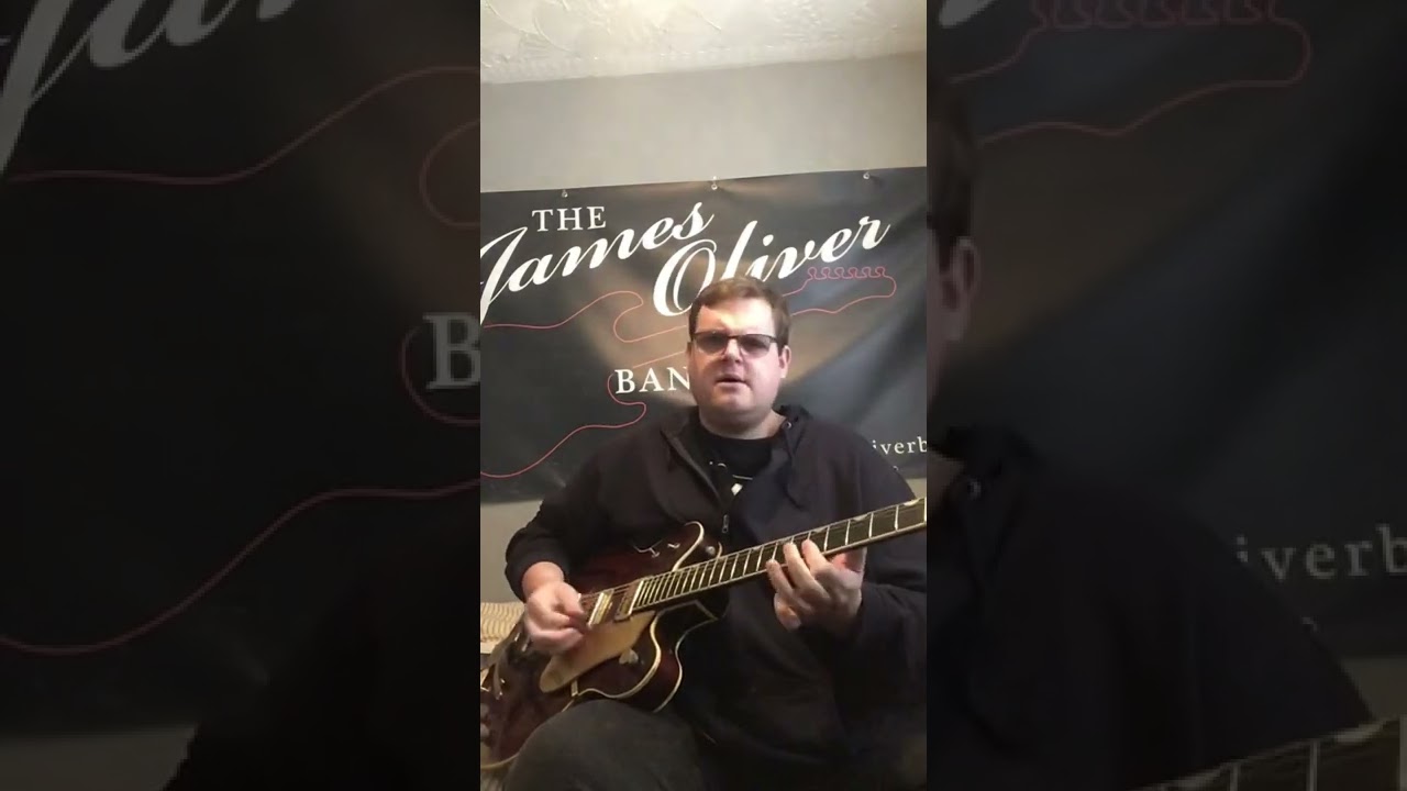 Andy Lee Lang honey bun rock n roll guitar  by James Oliver