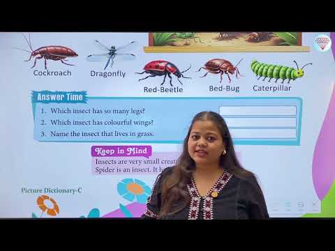 Creepy Crawly Creatures – Pictures Dictionary C of UKG | Smart Lecture | Kohinoor Study Well