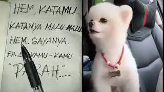 Hewan berbicara screenshot 3