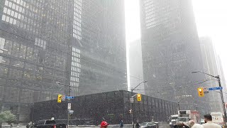 #toronto, #snowstrom today on remembrance day we got the first major
snowfall of season.