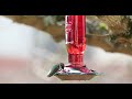 Hummingbirds feeding March 13, 2021