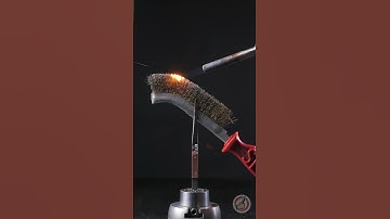 🔍 Macro delights in slow motion! 🎥 ⏱️