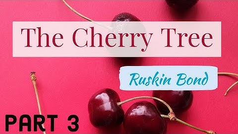 The Cherry Tree | Part 3 |line by line explanation| class 6 | ICSE | studyCafe