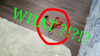 WHAT HAPPENS WHEN YOUR KEYS FALL ON THE FLOOR !?!?!?!?!