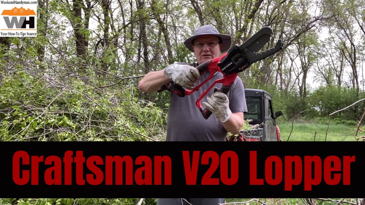 V20* 6 in. Cordless Compact Chainsaw Lopper Kit (2.0Ah)