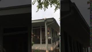 Ring floodlight camera lights flashing Profile