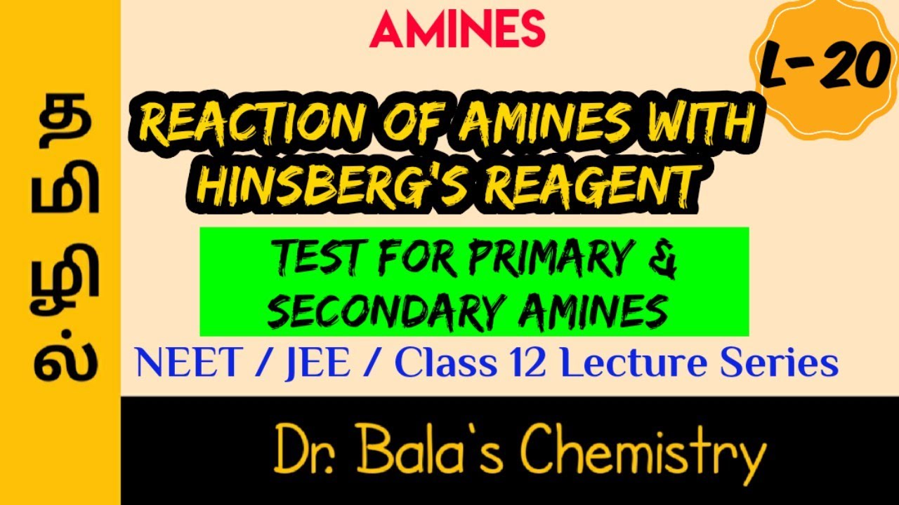 Amines with aryl Sulphonyl chloride in Tamil || NEET|| JEE|| Class 12 Lecture Series