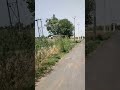 Alpha। Road Trip।Deewana Mai Tera Kumar Sanu & alka yagnik 😍 #hindisong #ytshorts #trending
