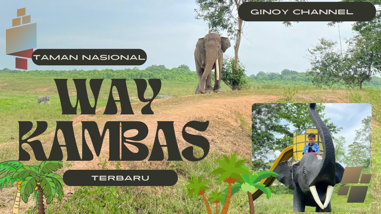 TAMAN NASIONAL WAY KAMBAS TERBARU dengan cara masuk yang baru november 2024🦣
