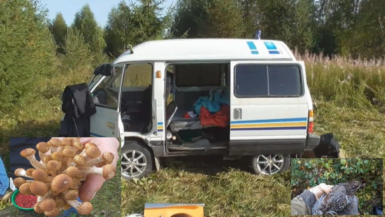 Семейное -  выезд на природу с ночёвкой \ 86