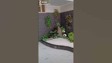 Tiểu cảnh khô cầu thang VIP