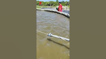 Ao tròn nổi nuôi cá rô phi hiệu quả cao ở các nước phát triển ngành thuỷ sản l Liên hệ 0899.199.700