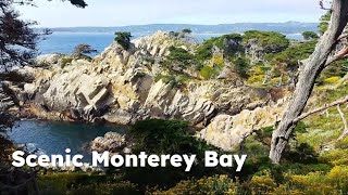 [Scenic Walk with Music] Beautiful Monterey Bay, California