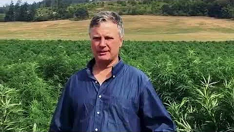 Rivulis   Industrial Hemp Testimonial   Steve Goff...