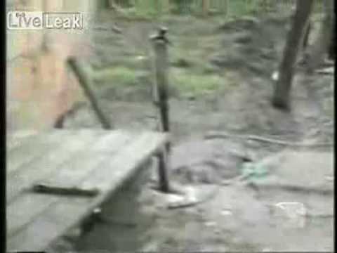 Вот что бывает если скрестить кота и кролика!