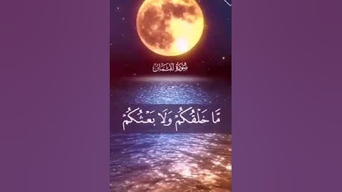 تلاوة خاشعة من سورة لقمان بصوت القارئ هيثم الدخين....