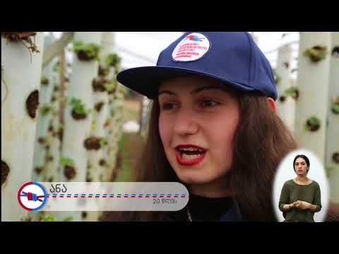 დუალური განათლება