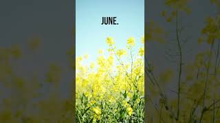 Boris Brejcha - June (Unreleased Short Studio Preview)