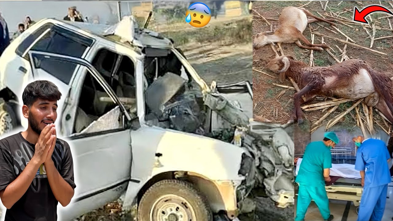 Hamari Car or Hamary Qurbani Ky Bakry Sub Khatam💔