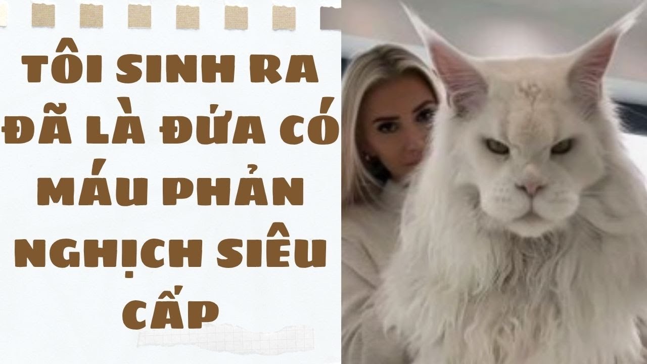 [Truyện Audio ] [FULL]  || Sora Bé Bỏng