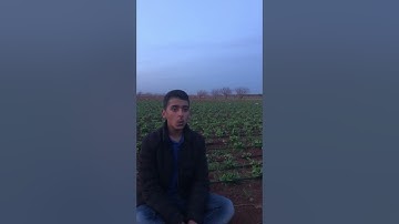 آيات من القرآن الكريم (( ابراهيم))