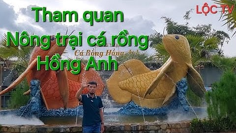 Tham quan Nông trại cá rồng Hồng Anh | LỘC TV