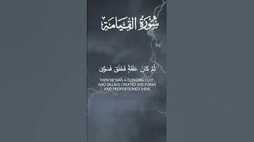 سورة القيامة (٣٦-٤٠) - طلحة علوي | #القرآن_الكريم #سورة_القيامة #طلحة_علوي #تلاوه #تلاوة_مميزة