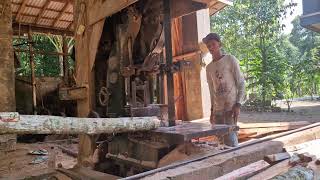 How Smart Operators Maximize Efficiency in a Modern Sawmill