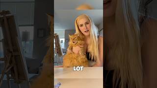 Cute cats  #cat #kittten  #catskittens #funnycat #catloversusa