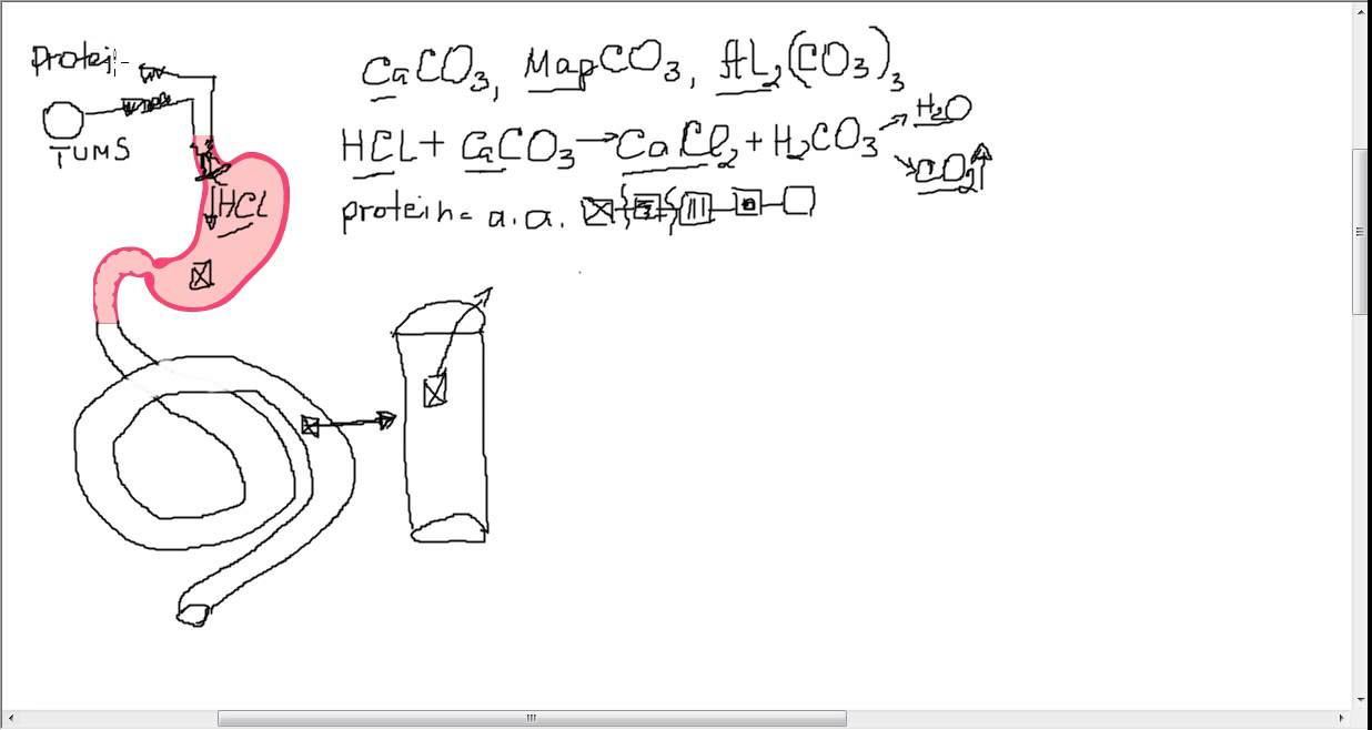 Tums and other Antacids What side effects do they have, and how do they work? Part 2 YouTube