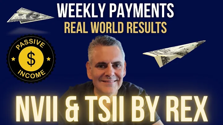 REX Shares NVII & TSII: My Real Numbers, Real Strategy