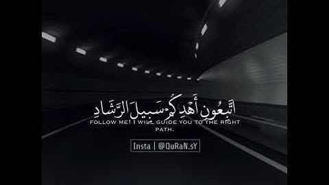 صوته يواسي روحك ✨💓 صوته عالم ثاني ✨❤ |قران كريم بصوت جميل جدا | تلاوة عطرة | ارح سمعك