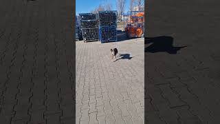 plastiki riki tiki narko...