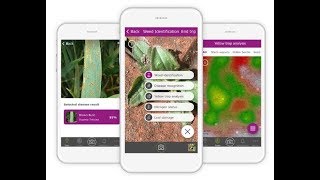 Xarvio Scouting App For Your Farm Fields - Weed & Disease Identification screenshot 3