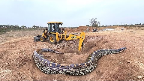 JCB 3dx Backhoe fully Loading Mud in Mahindra 475 JCB video #jcb #farming #video