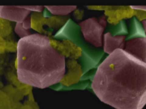 Vídeo: NanoARG: Um Serviço Da Web Para Detectar E Contextualizar Genes De Resistência Antimicrobiana A Partir De Metagensomas Derivados De Nanoporos
