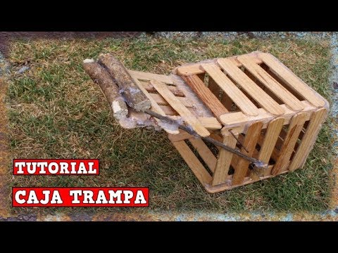 Caja Trampa para aves y Ratones AUTOMÁTICA Casera - Tutorial - YMX  supervivencia - YouTube