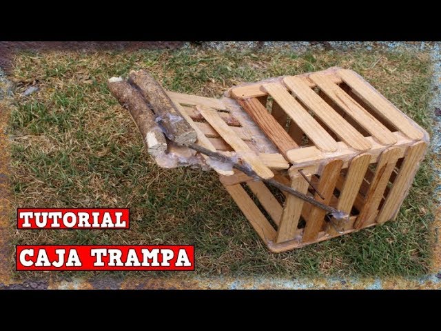 Trampa Automatica Para Aves Con Jaula Automatica y Casera / YMX  SUPERVIVENCIA 