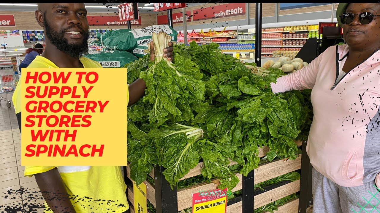 How To Supply Large Grocery Stores With Vegetables As An Emerging Farmer In South Africa