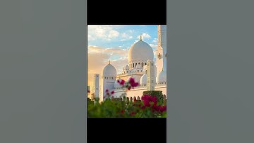 قران كريم سوره القلم #اكسبلور_فولو #لايك #حالات #اكسبلور