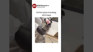 Celebrity Perfect glass breaking technique 😳 Wealth