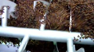 Trail Video (3) of IOPAK Paddle Mixer ; Brought To You By PPN