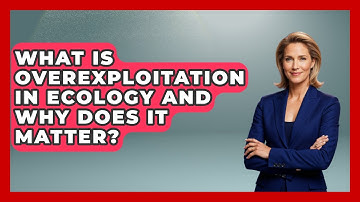 What Is Overexploitation In Ecology And Why Does It Matter? - Explaining Ecology