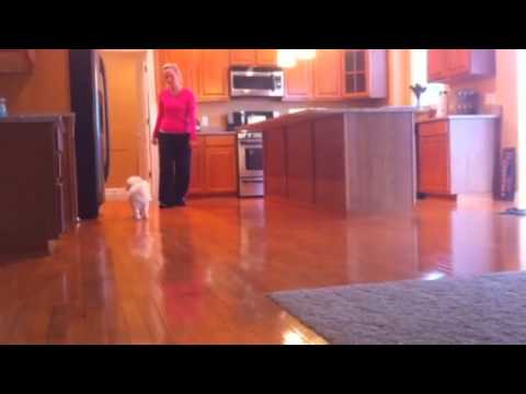 Simon ice video 2 - YouTube