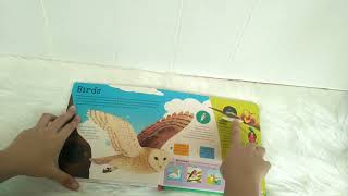 Amazing Animals Lift the Flap Board Book Over 60 Flaps!