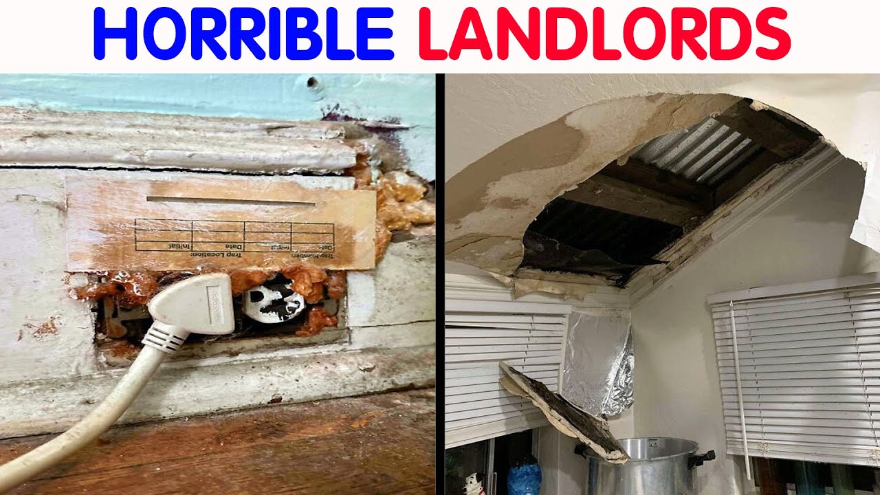 Private Renting Nightmares Horrible Landlords Who Made Renting A Total Nightmare - YouTube